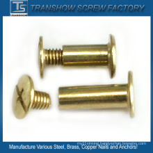 Slotted Philips Combination Drive Brass Screw with Sleeve Nuts